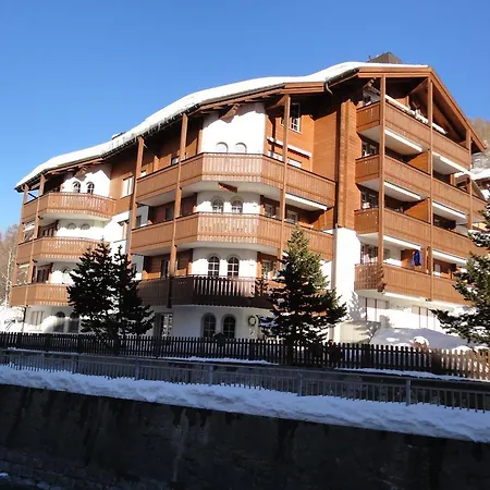Les Violettes *